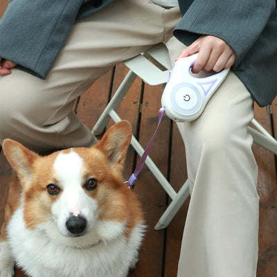 PawFlex Leash-Collar Combo
