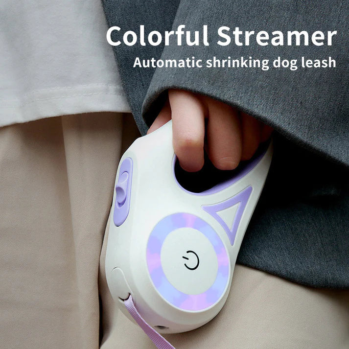 PawFlex Leash-Collar Combo